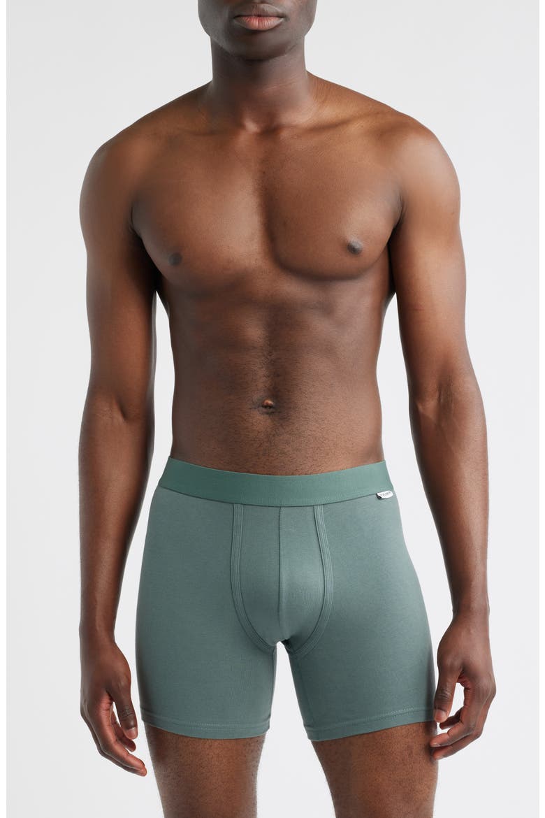 3-Pack Boxer Briefs, Main, color, GREEN BALSAM MULTI