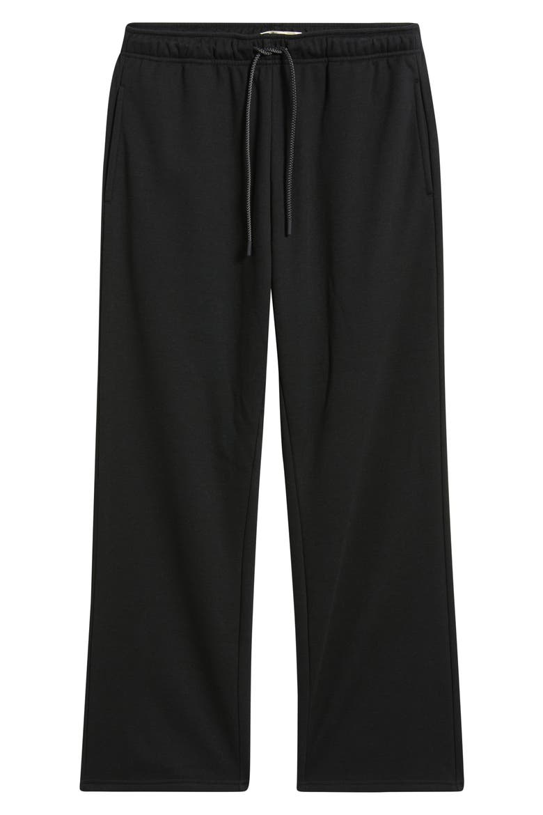 Sylvan Straight Leg Pants, Alternate, color, BLACK