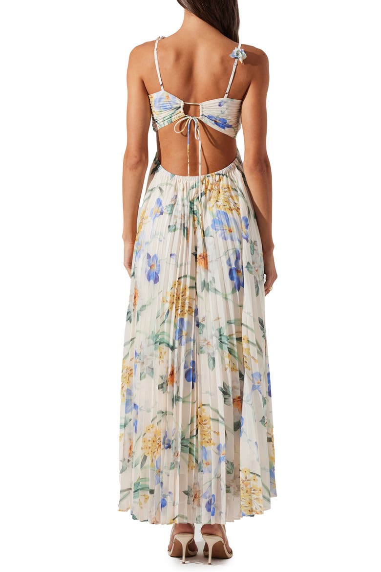 Emese Pleated Maxi Sundress, Alternate, color, WHITE/ BLUE MULTI FLORAL