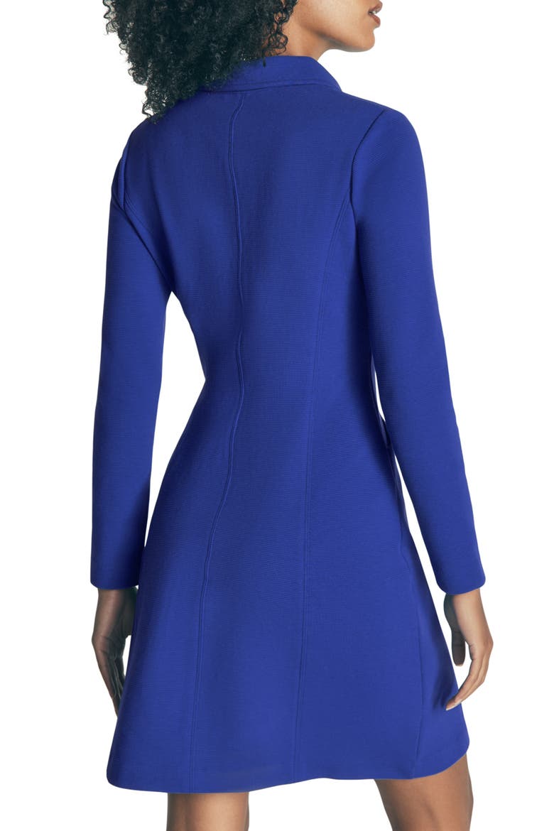 Nia Ottoman Long Sleeve Dress, Alternate, color, BRIGHT BLUE