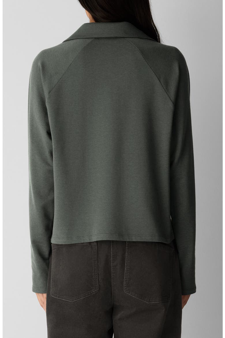 Raglan Sleeve Johnny Collar Knit Top, Alternate, color, SYLVAN