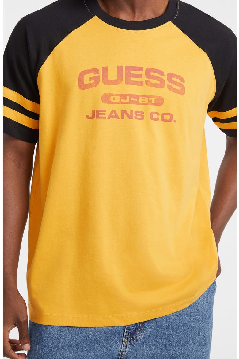 Raglan Sleeve Graphic T-Shirt, Alternate, color, G2B5-MEDIU