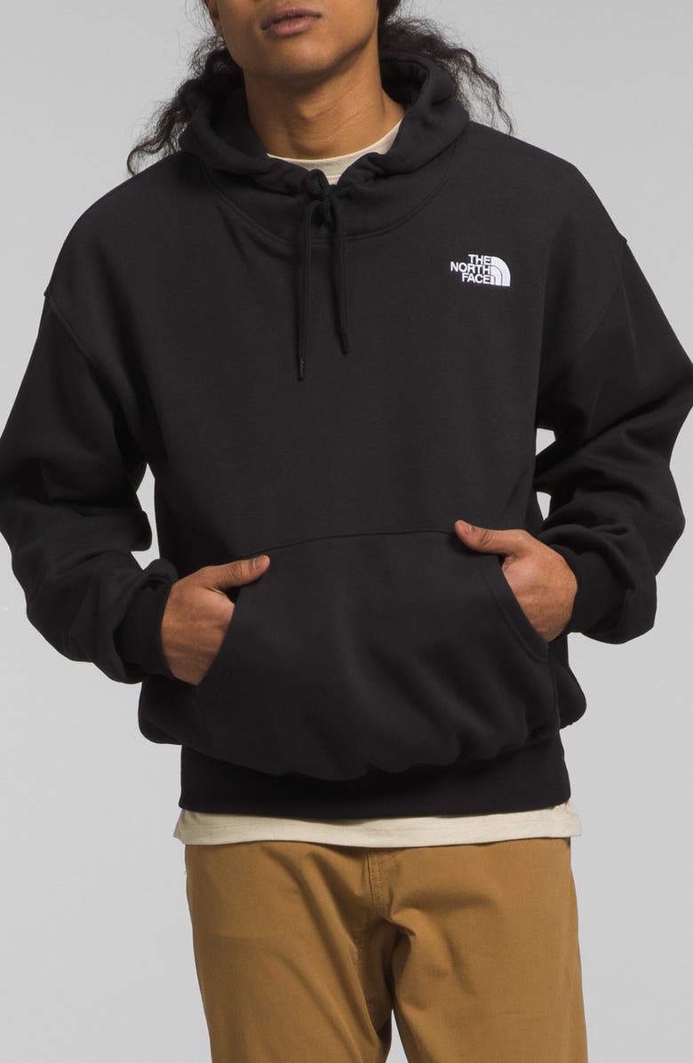 The North Face Evolution Pullover Hoodie, Main, color, 
