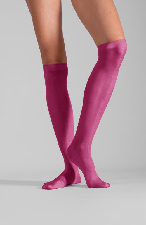 Lechery Shiny Sheer Knee-high Sock Set In Pink, Women's At Urban Outfitters In Pink