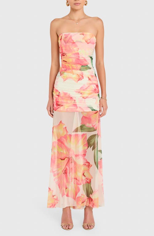 Amanda Uprichard Leo Floral Ruched Strapless Maxi Dress in Pink Hibiscus at Nordstrom, Size X-Small