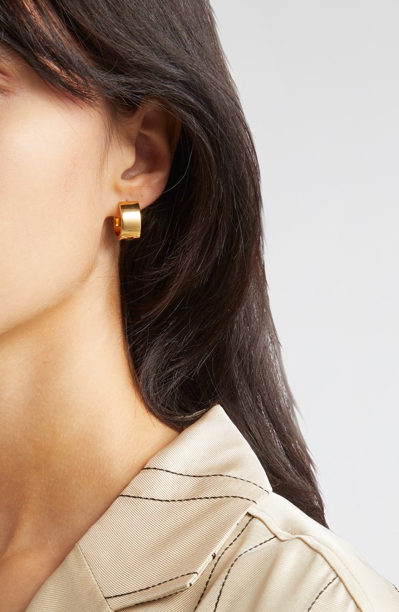 TOTEME Signature Huggie Hoop Earrings, Alternate, color,