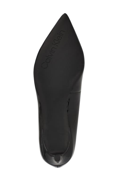 Calvin Klein Deja Pointed Toe Pump In Black