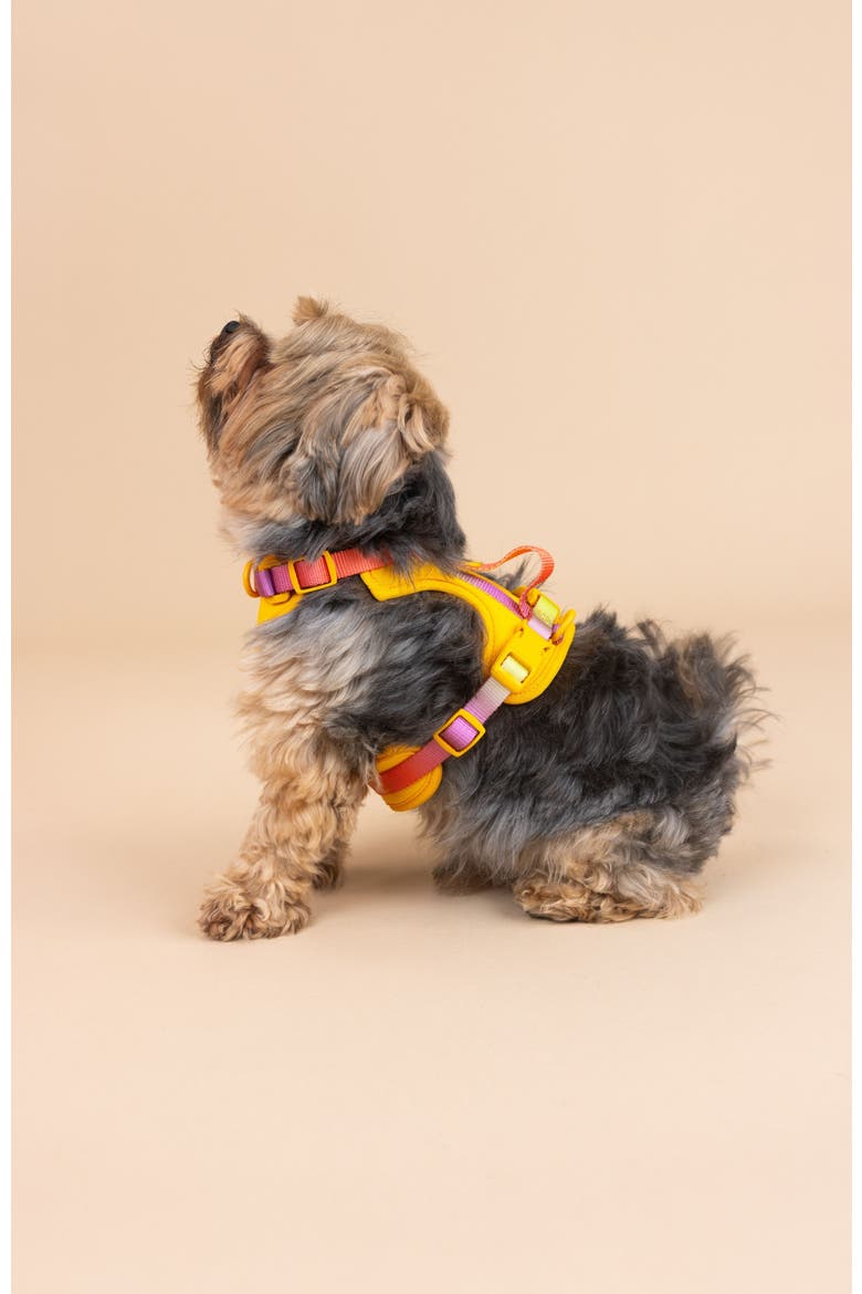 Kenna Dog Harness, Alternate, color, Kenna