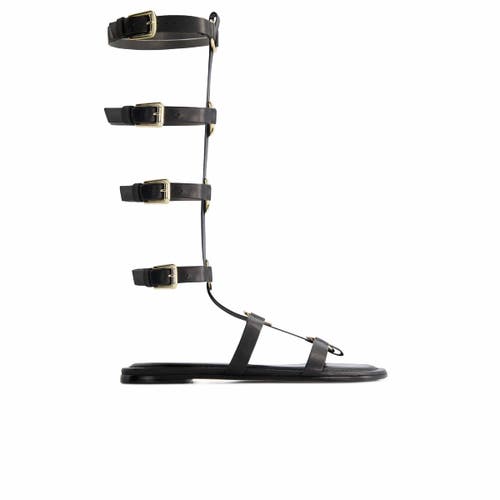 Shop Bernardo Footwear Hero Gladiator Sandal In Black