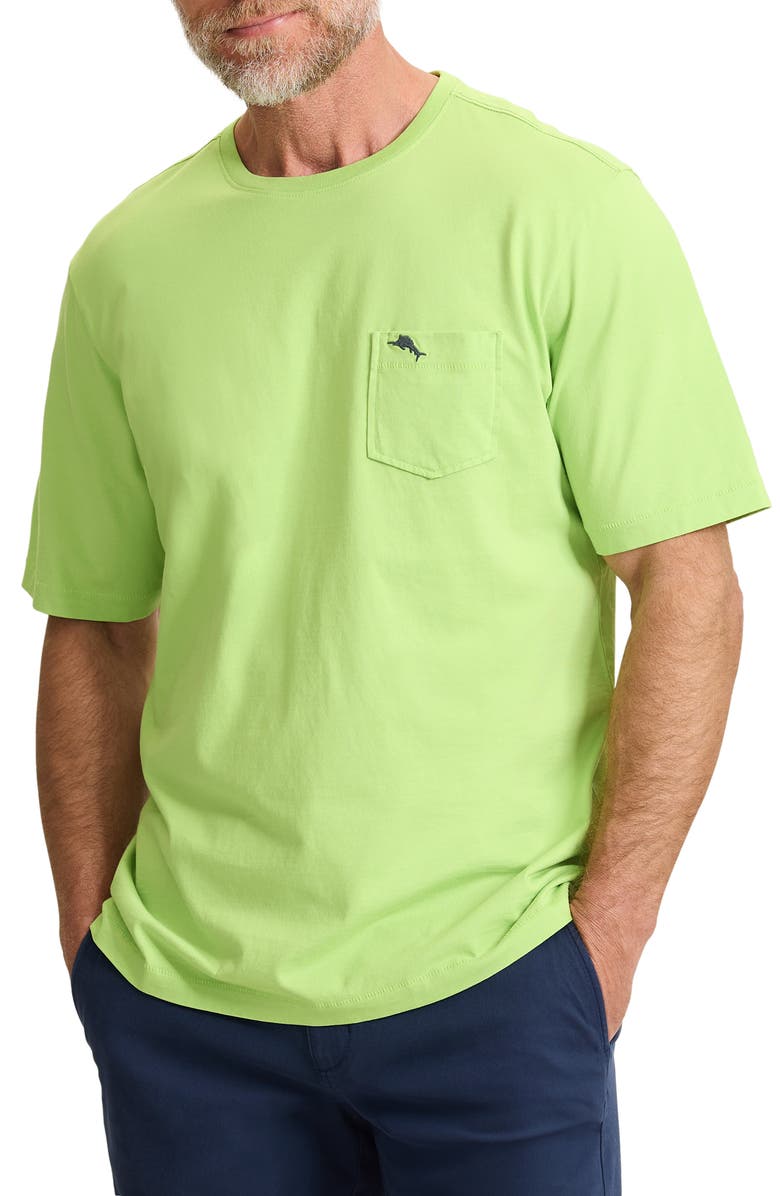 Tommy Bahama New Bali Sky Original Fit Pocket T-Shirt, Main, color, Tequila