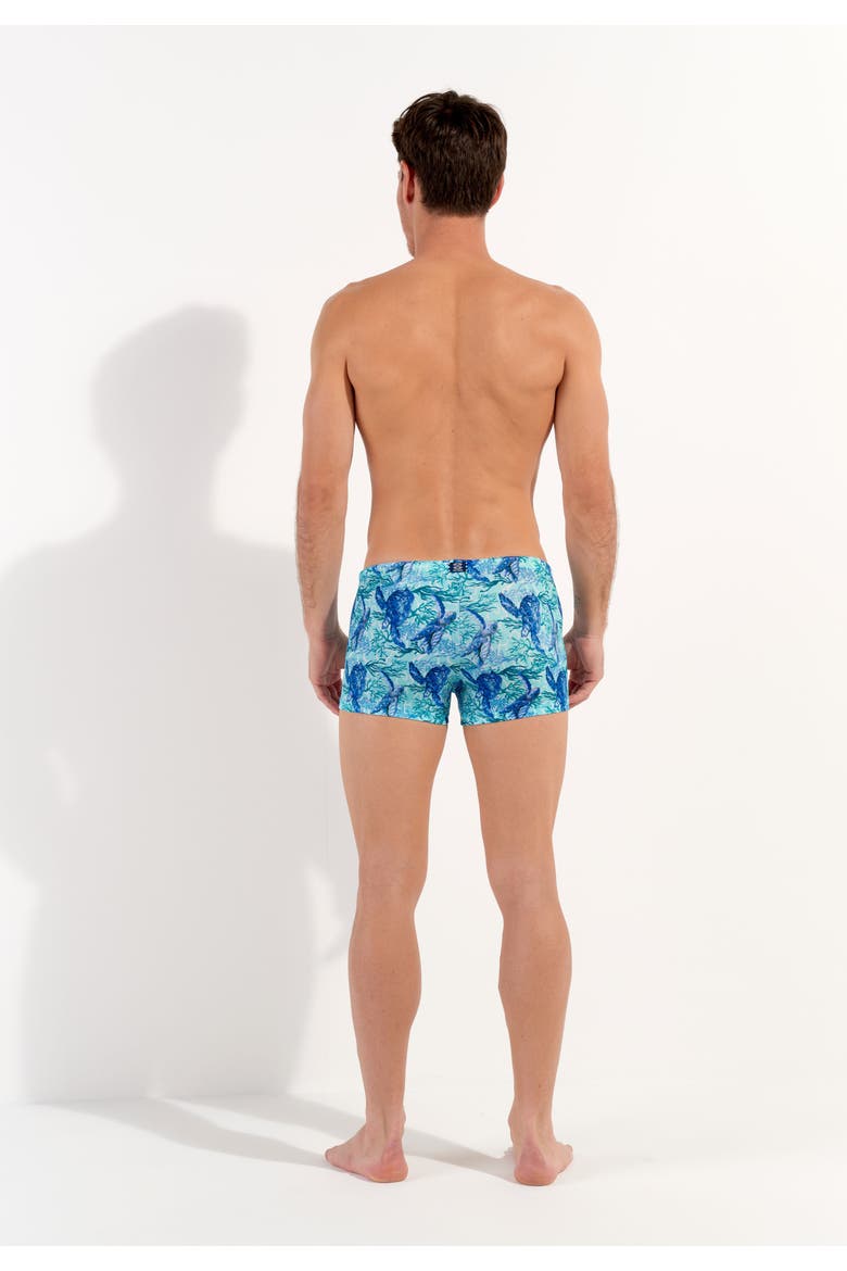 Tartane Swim Shorts, Alternate, color, Blue Print