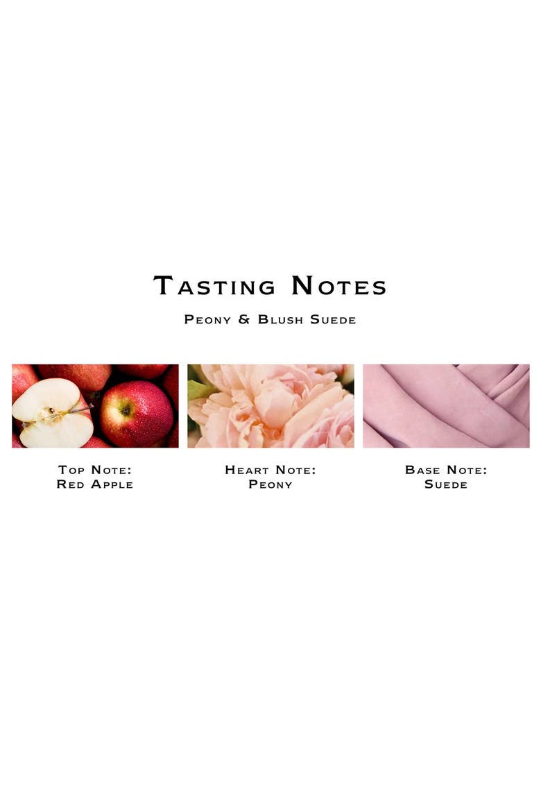 Peony & Blush Suede Solid Scent Refill, Alternate, color, NO COLOR