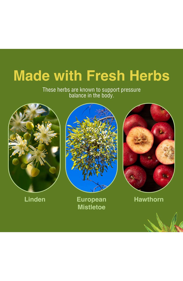 Trace Minerals HB Pressure Tonic - Healthy Blood Circulation Support Supplement - Aid Cardiovascular Health - Herbal Supplement for Natural Energy Support - Gluten-Free - 60 Softgels, Alternate, color, NO COLOR