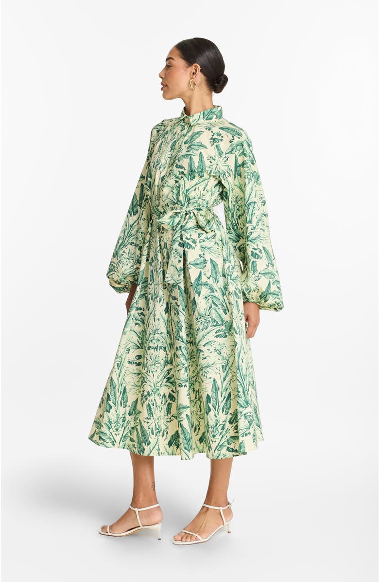 DIARRABLU Printed Cotton Poplin Naja Midi Dress Toile Olive, Alternate, color, Toile Olive