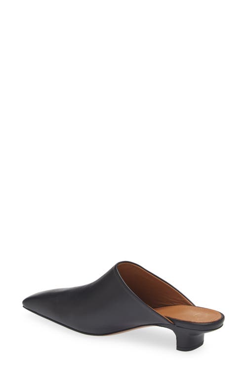 Atp Atelier Sepino Mule In Black