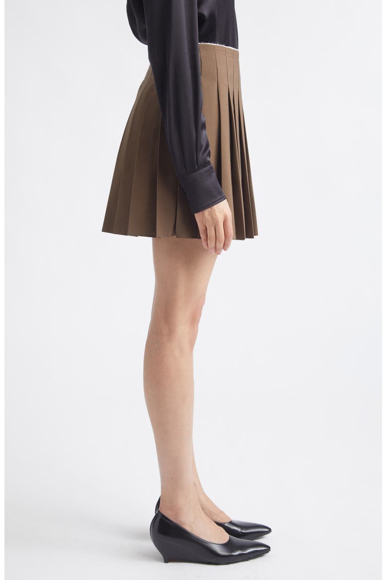 Pleated Miniskirt, Alternate, color, BROWN