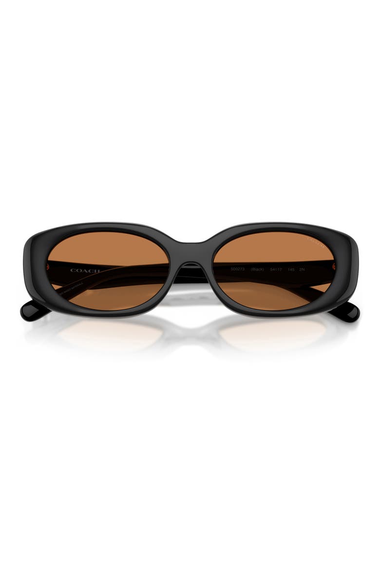 54mm Oval Sunglasses, Alternate, color, BLACK / AMBER SOLID