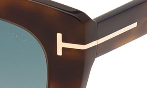 Tom Ford Izzi 53mm Cat Eye Sunglasses In Brown