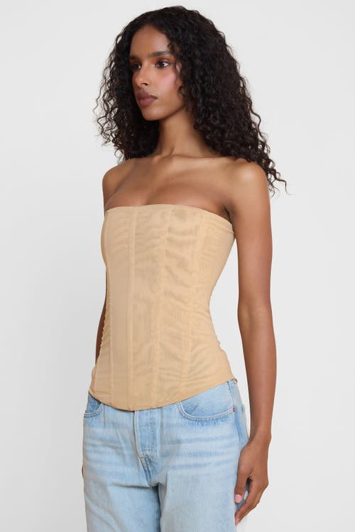 Leau Muse Mesh Corset Top In Brown