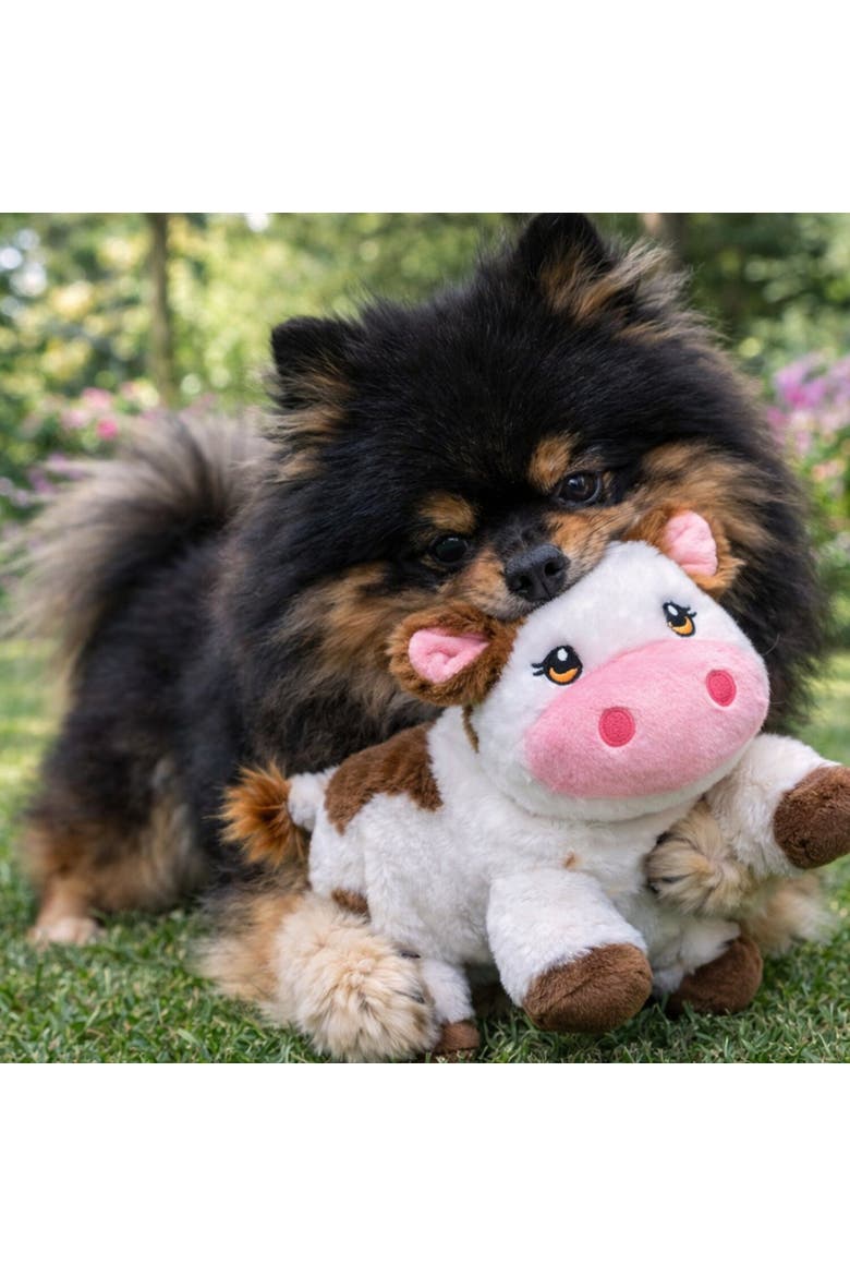 Plush Dog Toy, Alternate, color, Multicolored