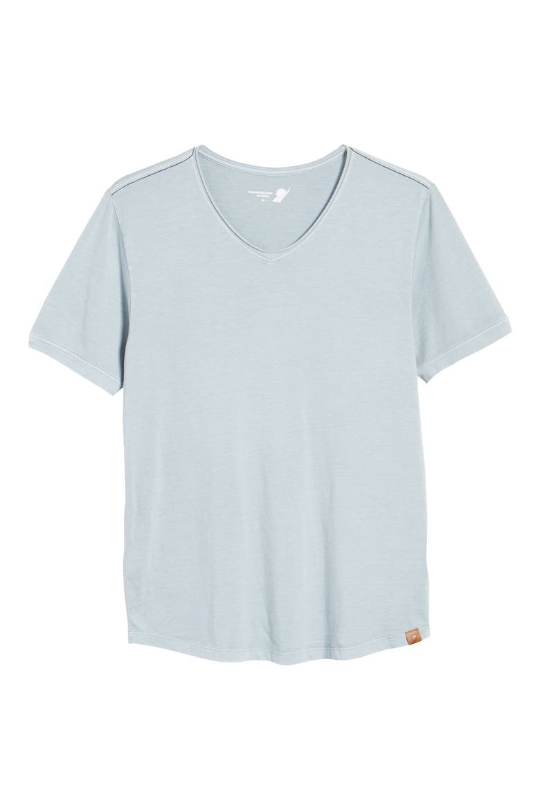 Malibu V-Neck T-Shirt, Alternate, color, DUSTY BLUE