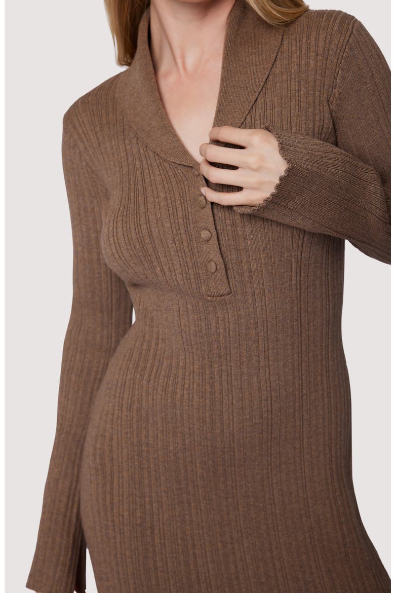 Viviette Long Sleeve Rib Maxi Dress, Alternate, color, SEPIA