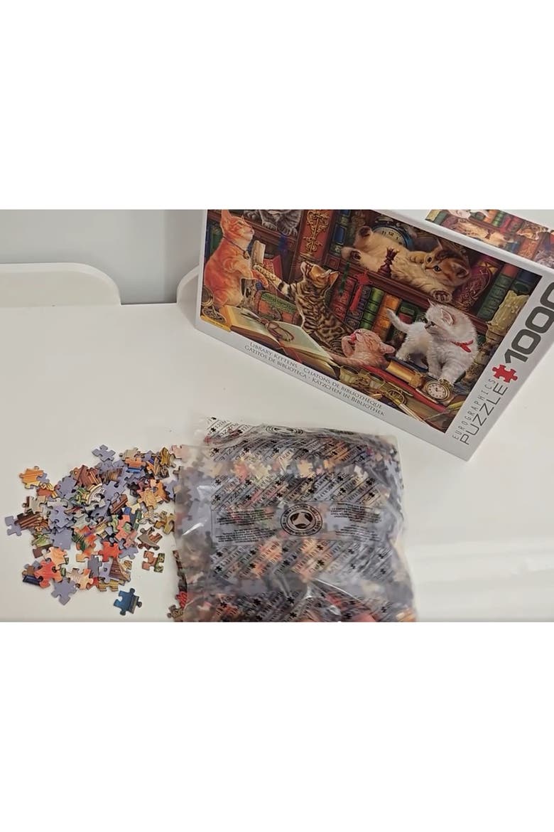 Library Kittens 1000 Piece Puzzle, Alternate, color, Multicolored