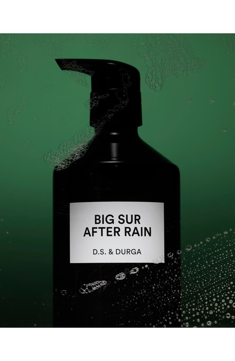 D.S. & Durga Big Sur After Rain Hand Soap, Alternate, color, 