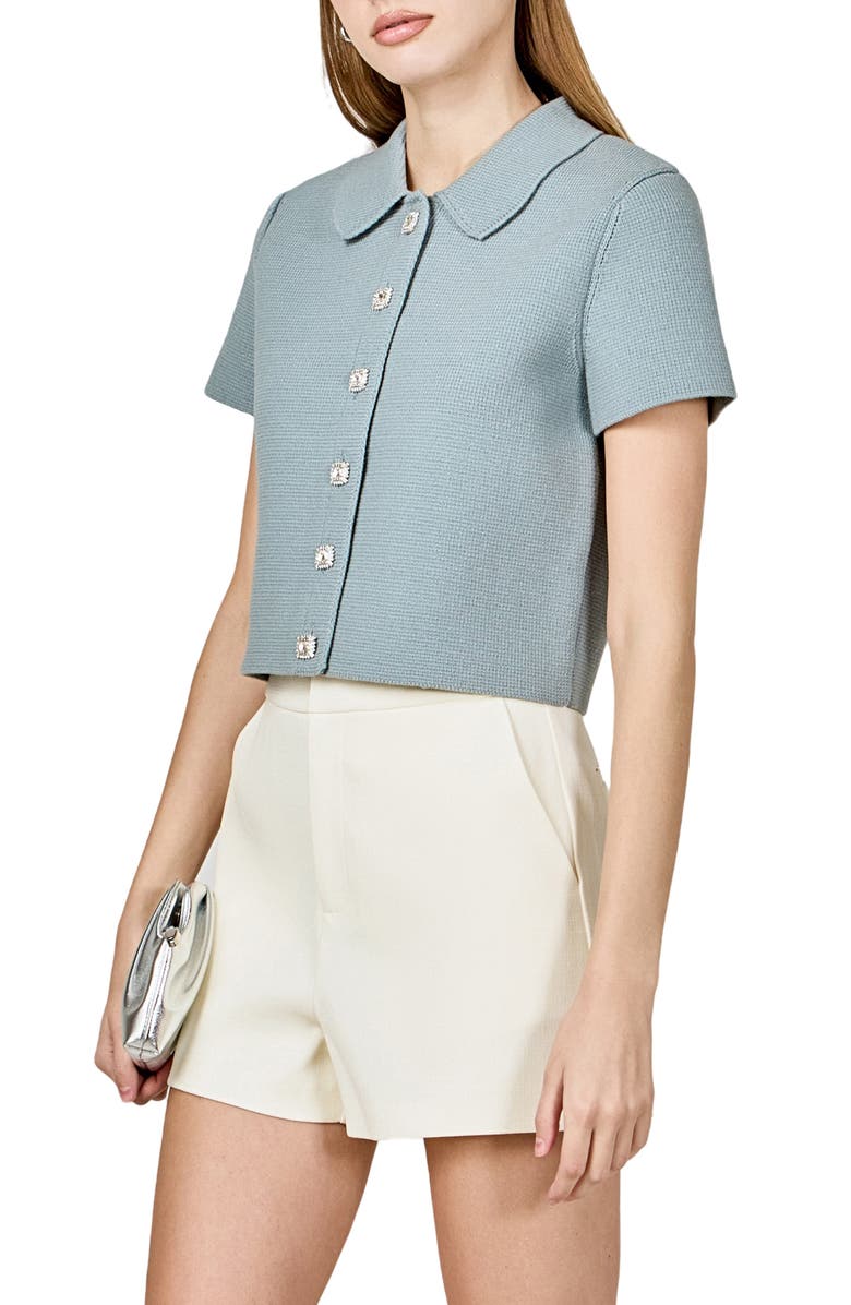 Endless Rose Jewel Buttoned Top, Alternate, color, Dusty Blue