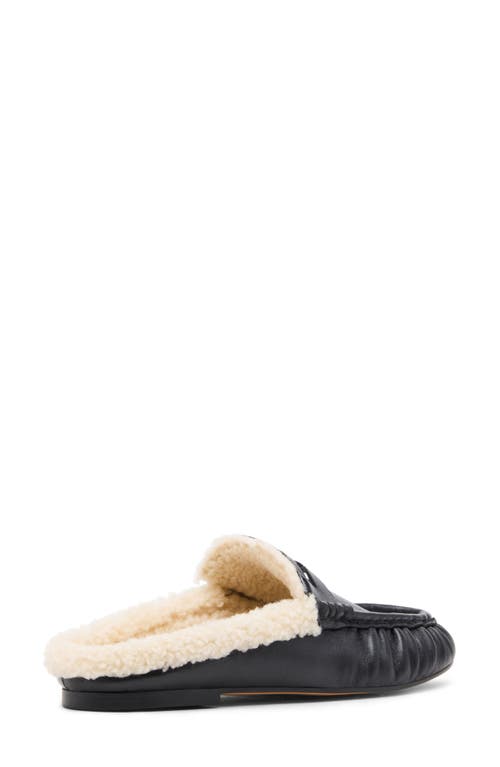 Steve Madden Rafe Genuine Shearling Mule In Black