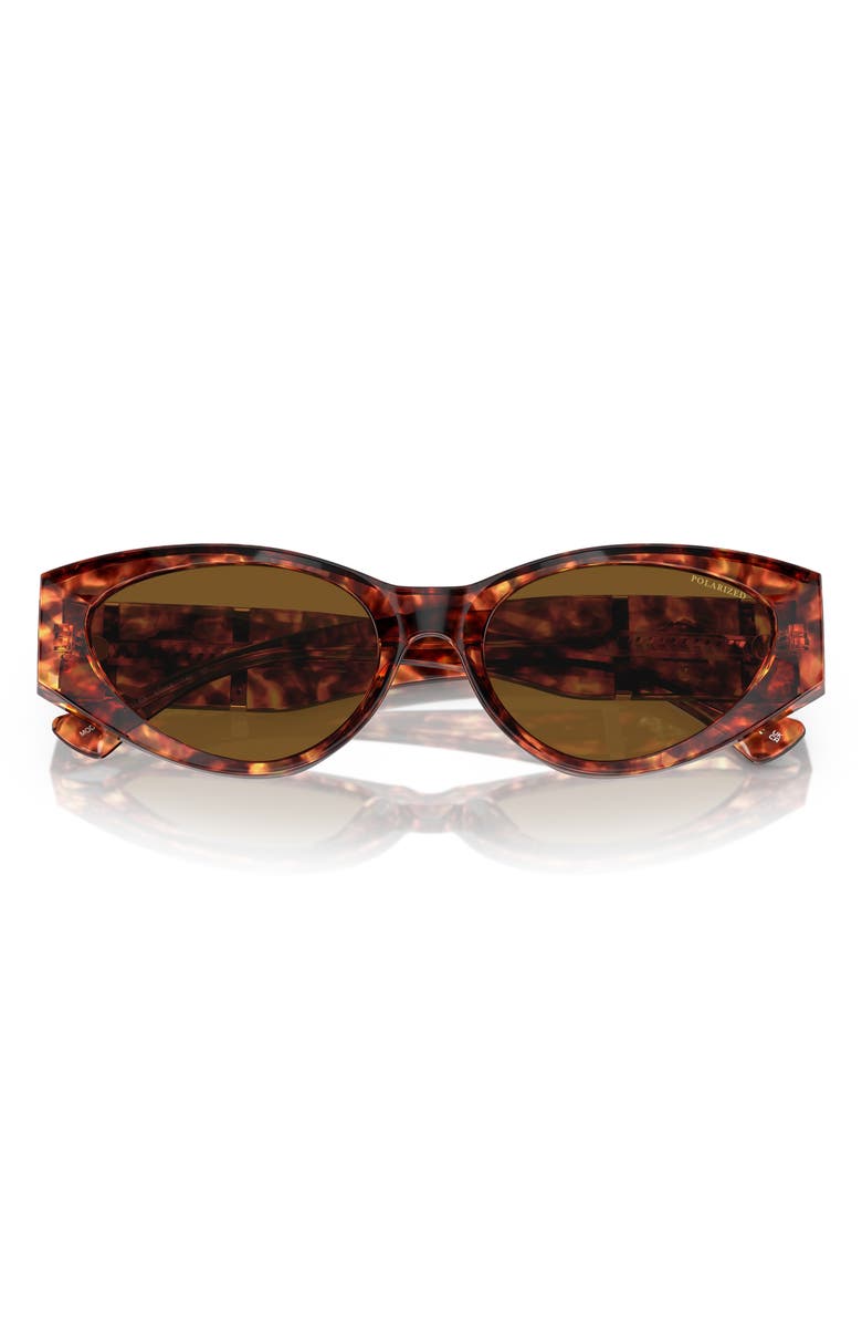 Versace 55mm Polarized Cateye Sunglasses, Alternate, color, Havana
