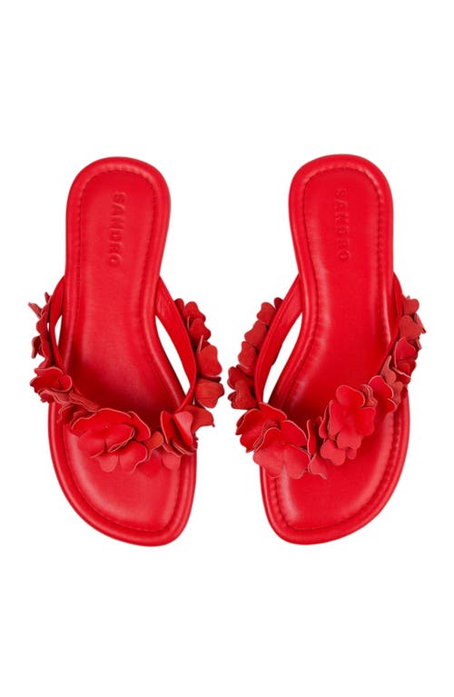 Sandro Floral Leather Sandals