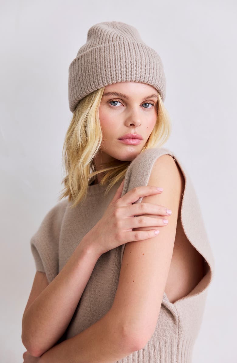 Arctic Fox & Co The Embroidered Merino Wool Beanie, Alternate, color, Soft Taupe