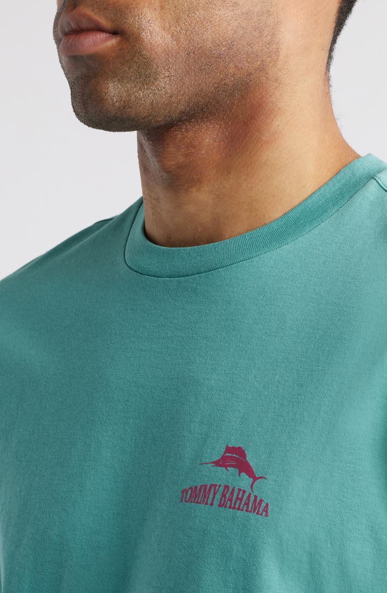 Tommy Bahama Weekend Pourcast Cotton Graphic T-Shirt, Alternate, color, 
