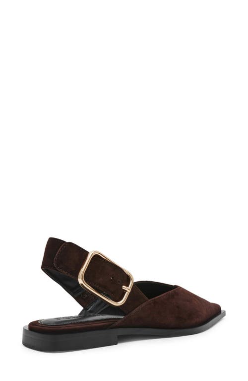 Steve Madden Shay Pointed Toe Slingback Flat In Burgundy