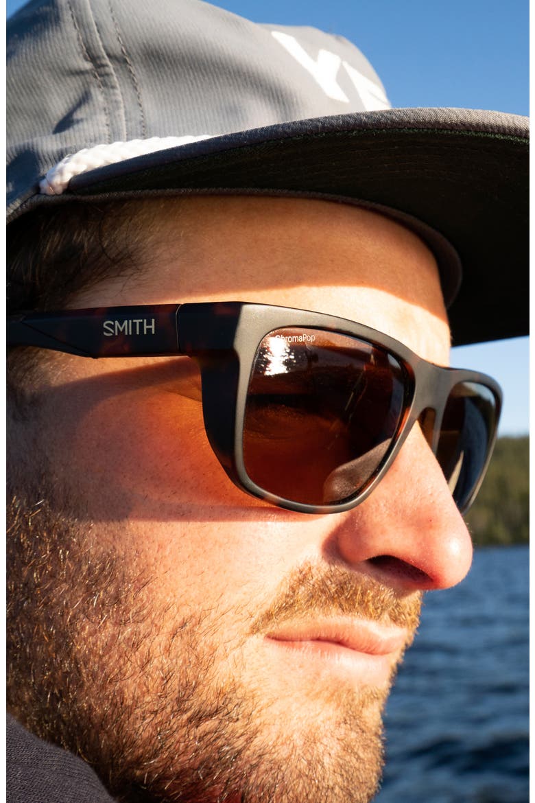 Barra 59mm ChromaPop™ Polarized Sunglasses, Alternate, color, MATTE TORTOISE/ BROWN