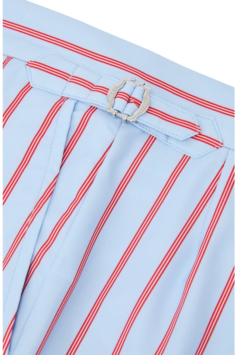 Presley Stripe Side Adjuster Swim Trunks, Alternate, color, SOFT BLUE