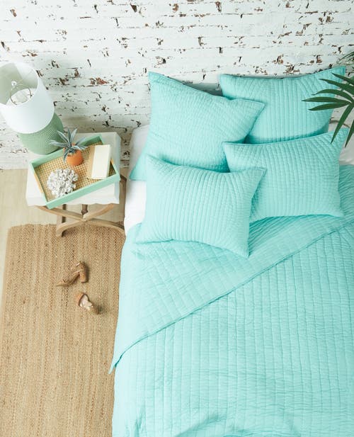 Carol & Frank James Cotton Euro Pillow Sham In Green