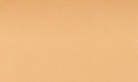 4W1 HONEY BRONZE