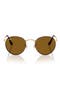  Matte Havana / Brown