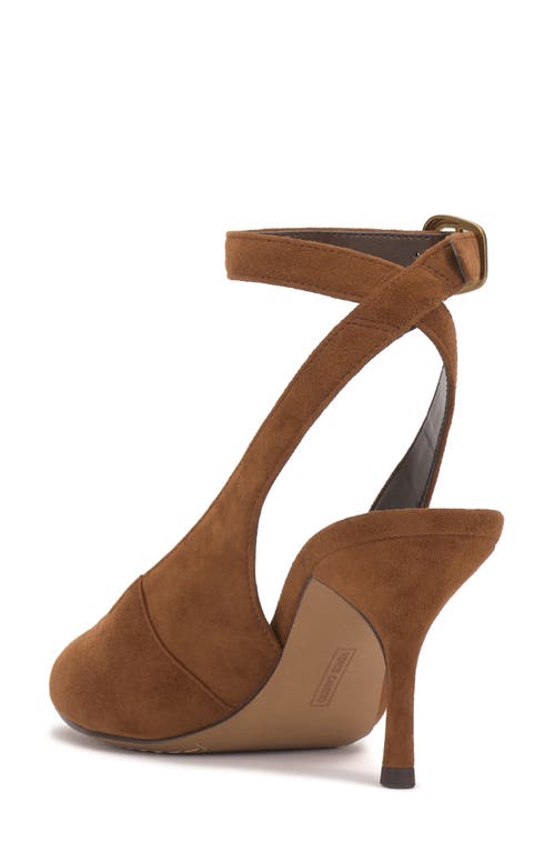 Vince Camuto Pavles Ankle Strap Sandal In Brown