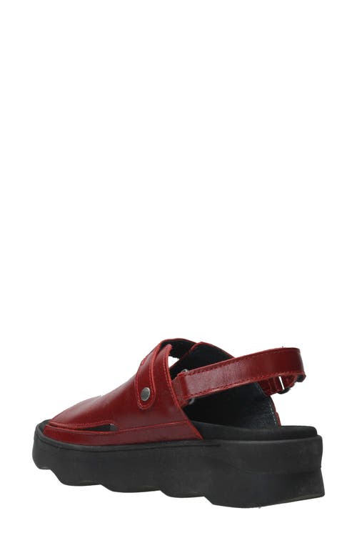 Wolky Laprida Slide Sandal In Oxblood
