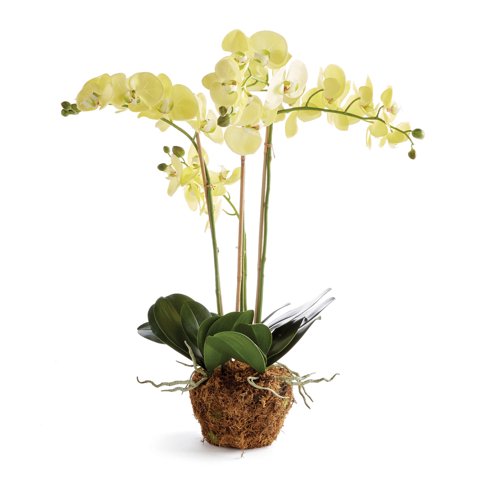 Napa Home & Garden Phalaenopsis Orchid Artificial Plant