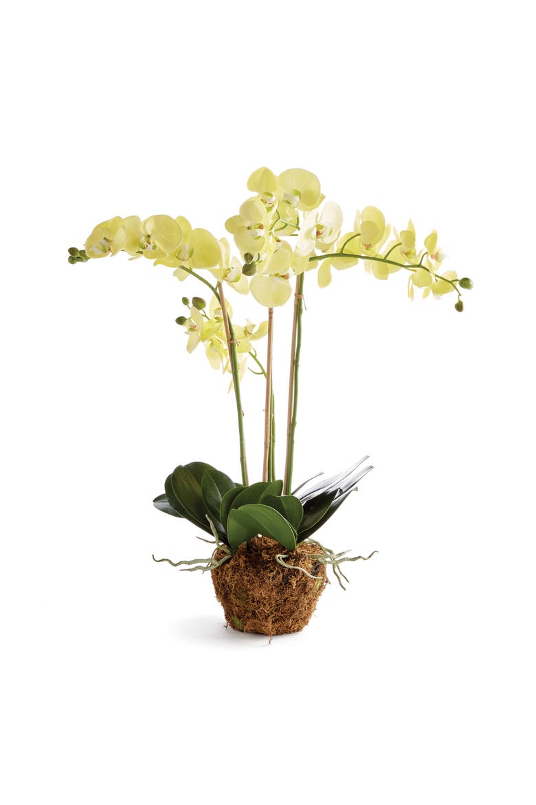Phalaenopsis Orchid Artificial Plant Drop-In, Main, color, Yellow