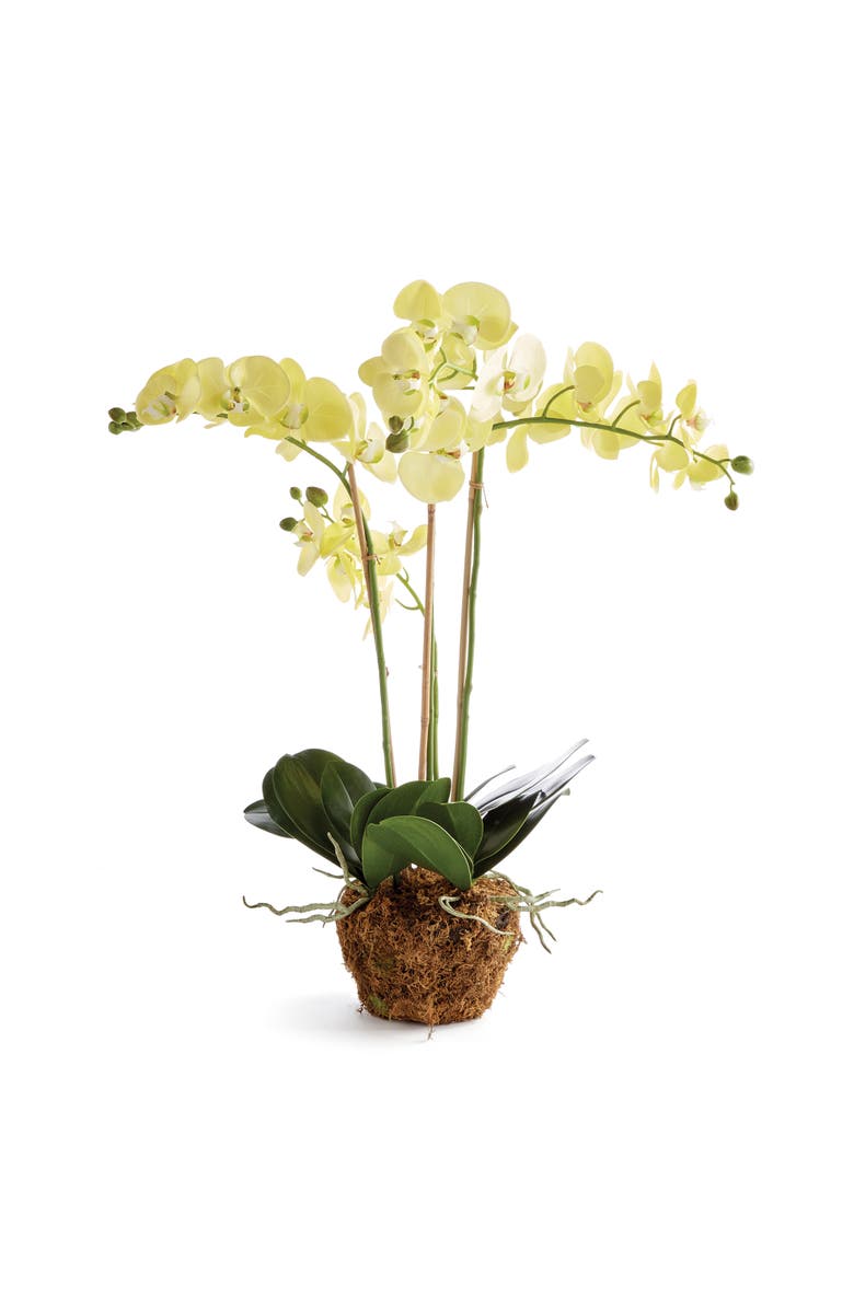 Napa Home & Garden Phalaenopsis Orchid Artificial Plant Drop-In, Main, color, Yellow