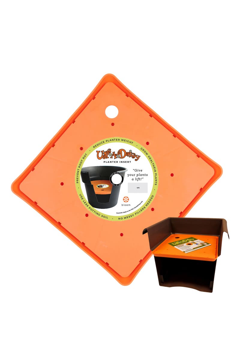 Bloem Ups A Daisy Square Planter Insert 10.75 Inch x 0.75 Inch, Main, color, Orange