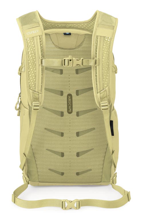 Osprey Daylite Plus Backpack