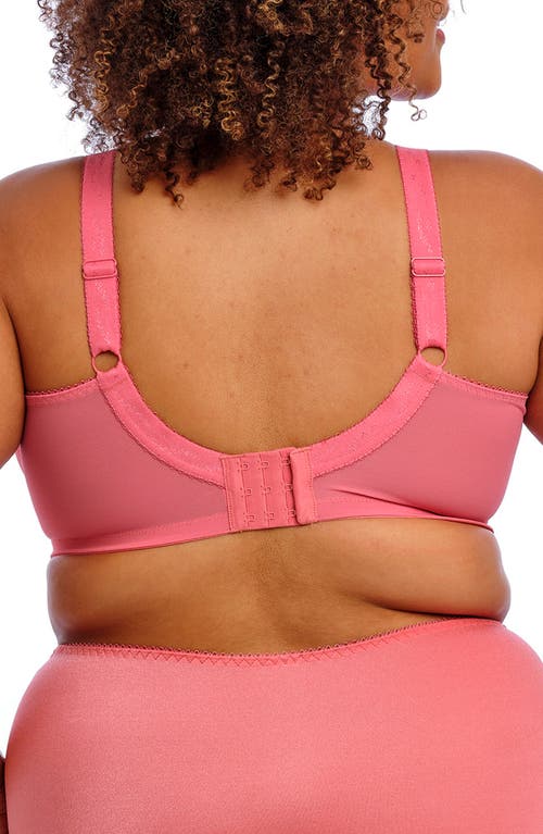 Goddess Keira Full Figure Underwire Bra In Desert Rose