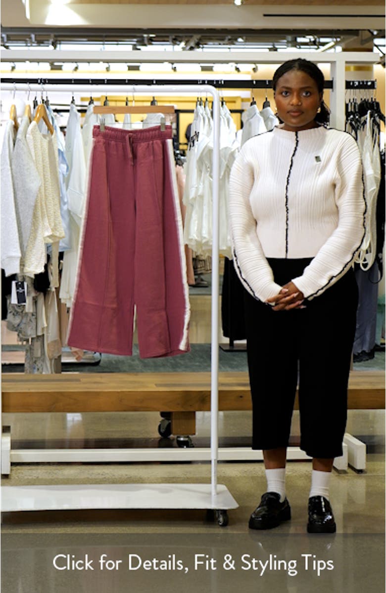 Kids' Side Stripe Wide Leg Sweatpants, sales video thumbnail