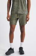 SANTO STUDIO Tempo Tech Shorts